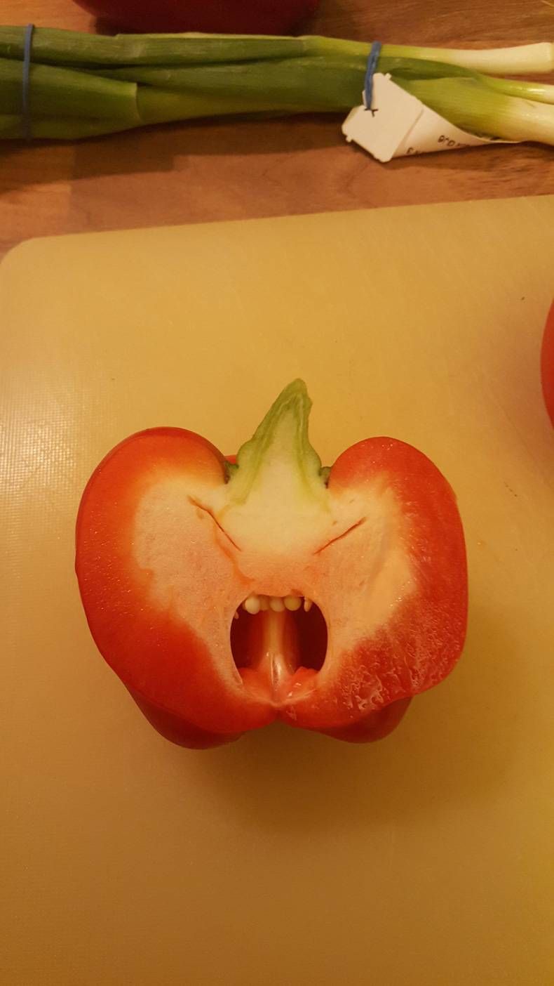 Gewoon een verzameling hilarische foto's #713
