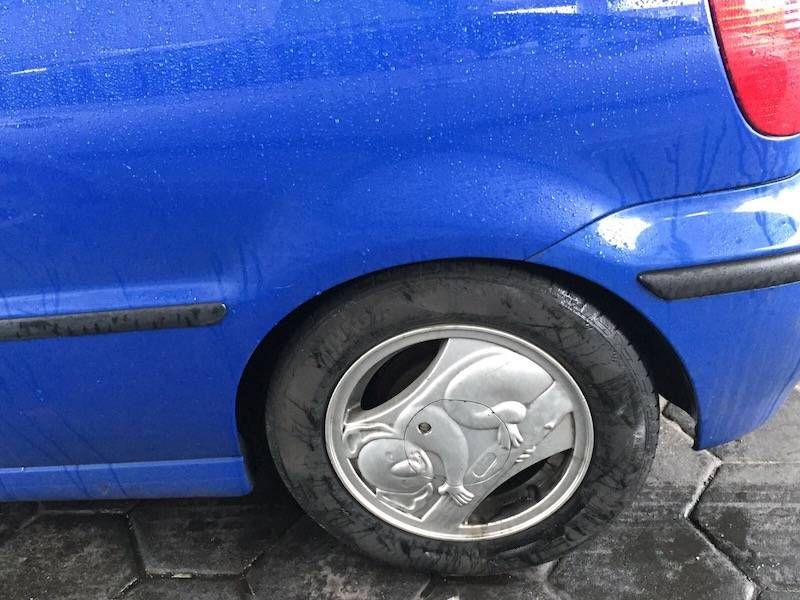 Gewoon een verzameling hilarische foto’s #794