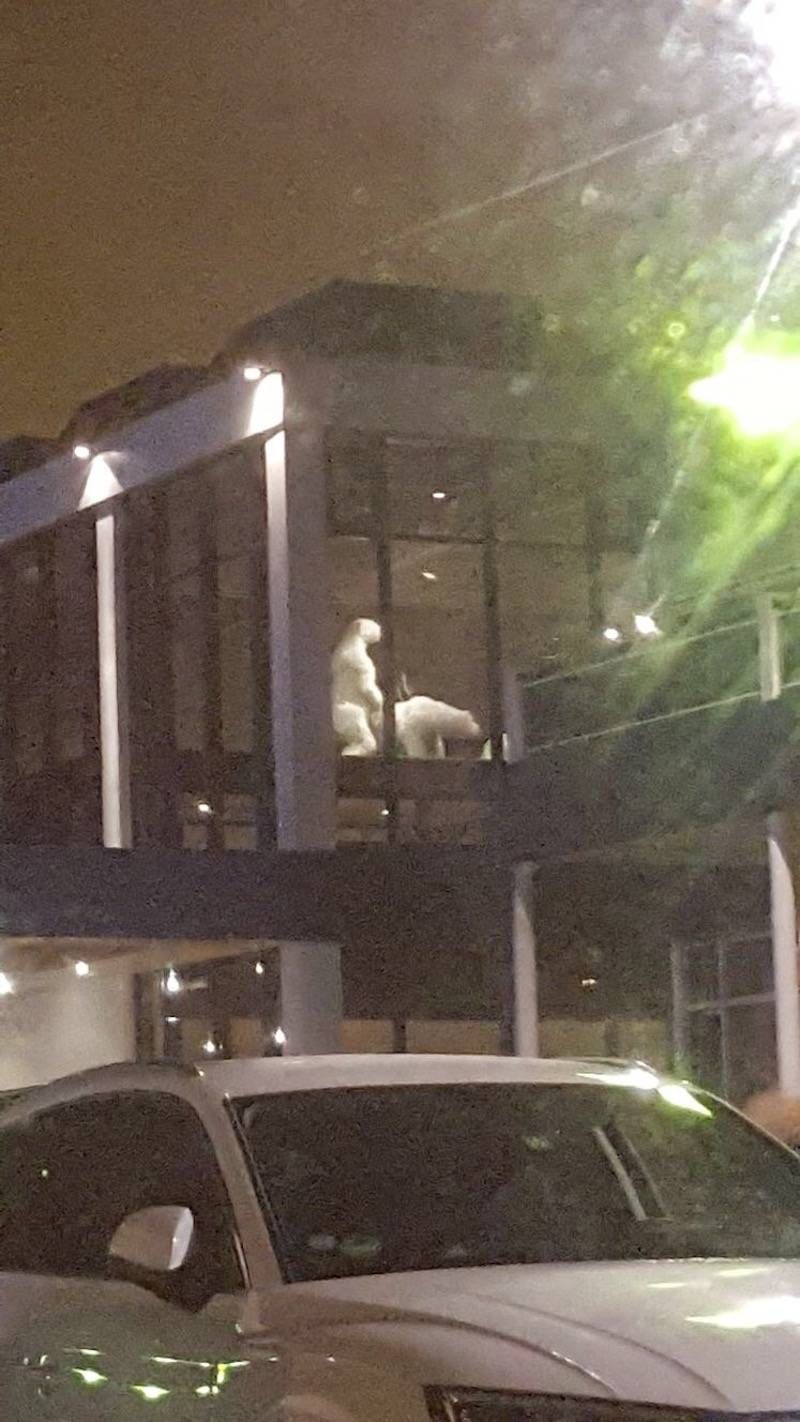 Gewoon een verzameling hilarische foto’s #907