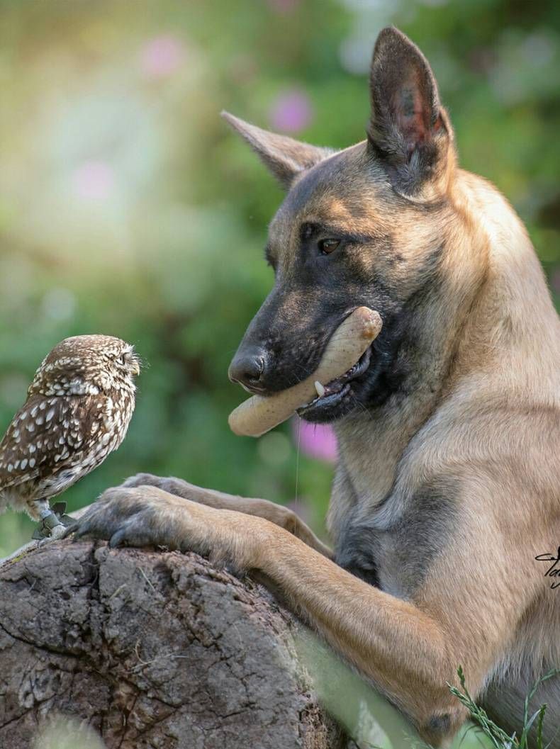 Gewoon een verzameling hilarische foto's #736