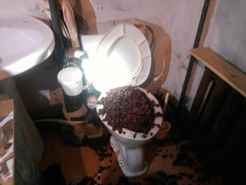 Gewoon een verzameling hilarische foto's #890