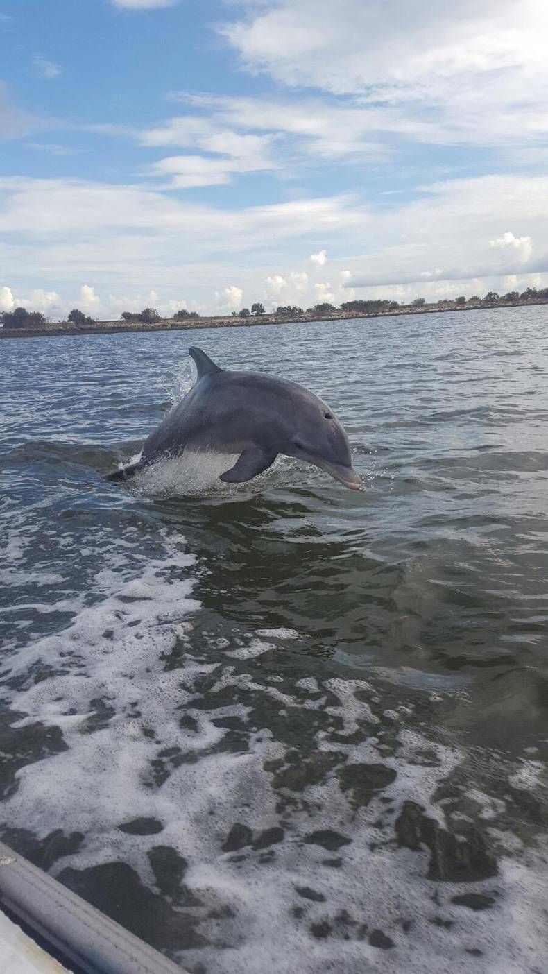 Gewoon een verzameling hilarische foto's #713