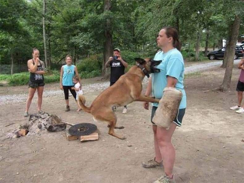 Gewoon een verzameling hilarische foto's #1006
