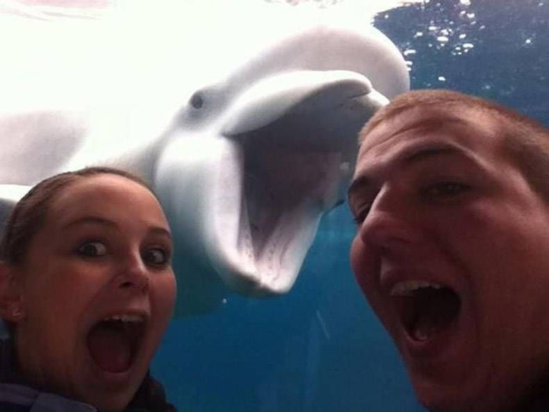 Gewoon een verzameling hilarische foto's #970