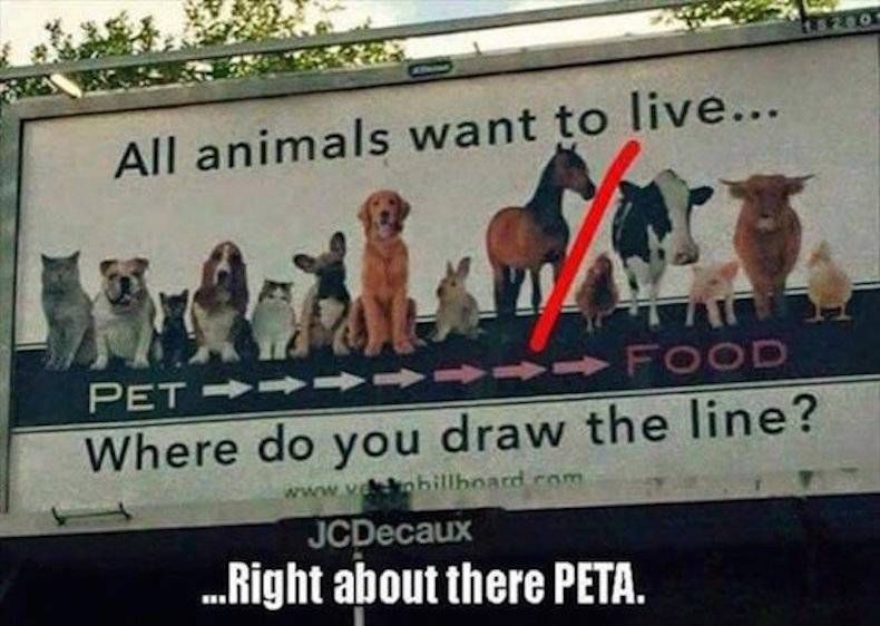 Gewoon een verzameling hilarische foto's #746