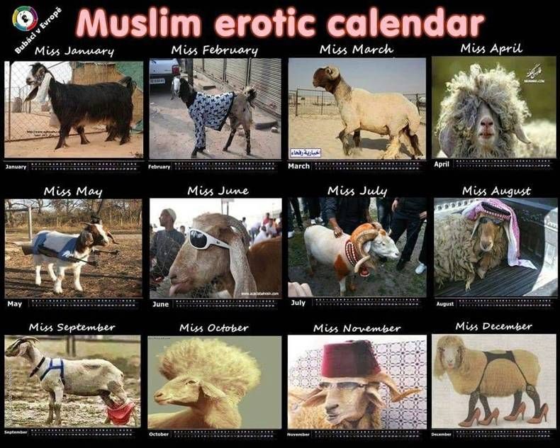 Gewoon een verzameling hilarische foto's #726