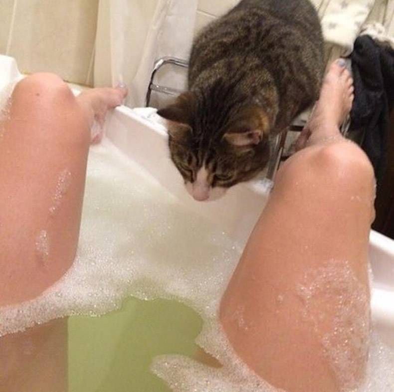 Gewoon een verzameling hilarische foto's #1088