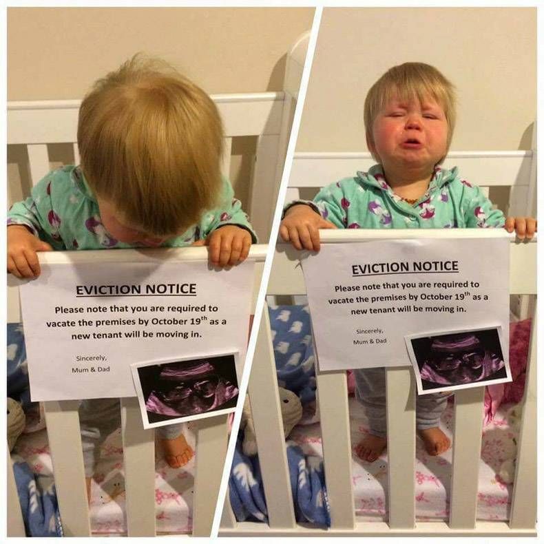 Gewoon een verzameling hilarische foto’s #889