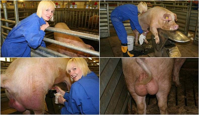 Gewoon een verzameling hilarische foto’s #821