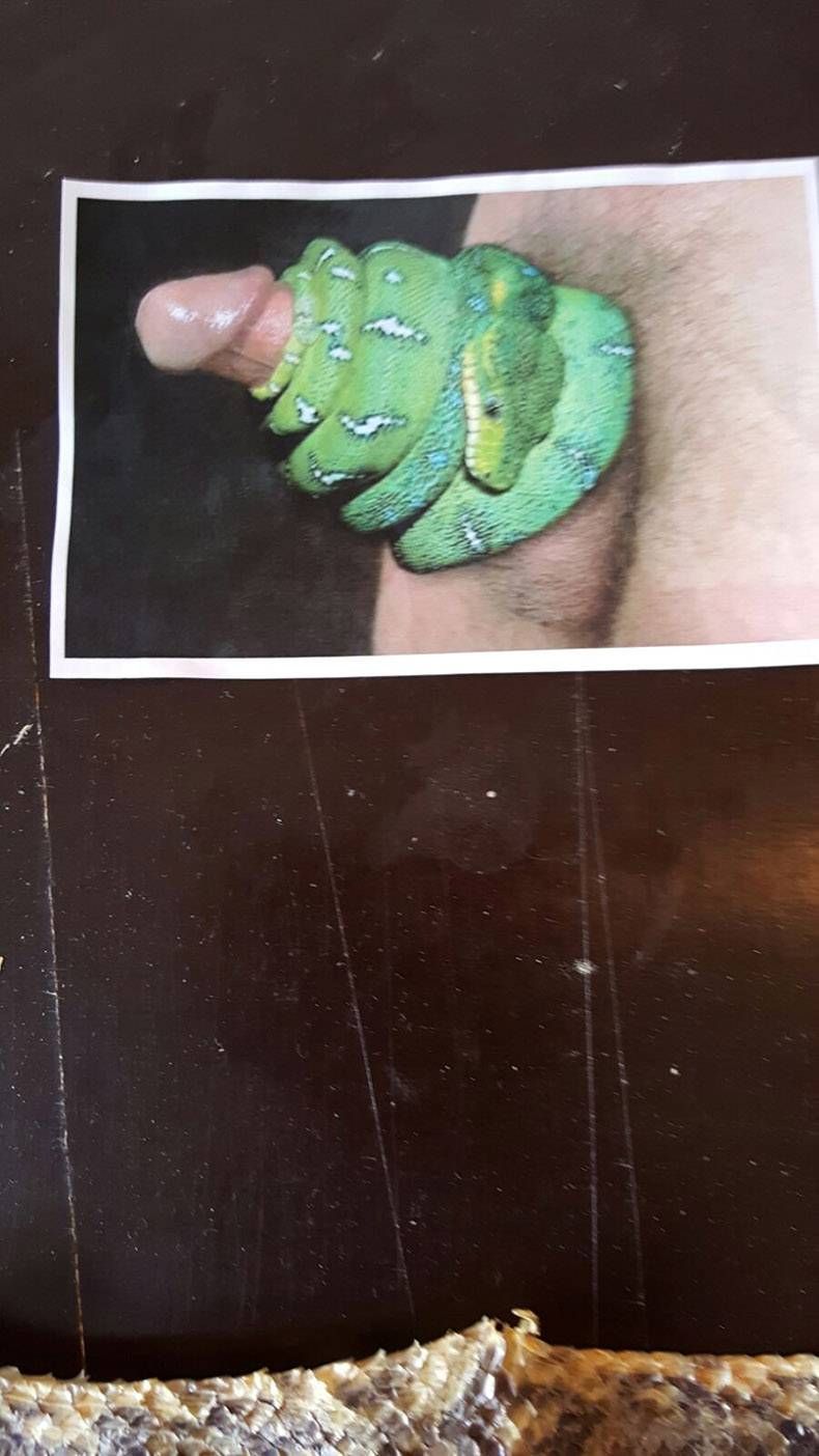 Gewoon een verzameling hilarische foto's #774