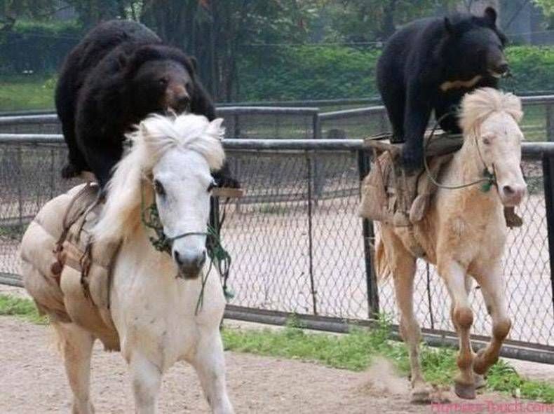 Gewoon een verzameling hilarische foto's #900