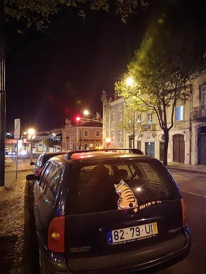 Gewoon een verzameling hilarische foto’s #1110