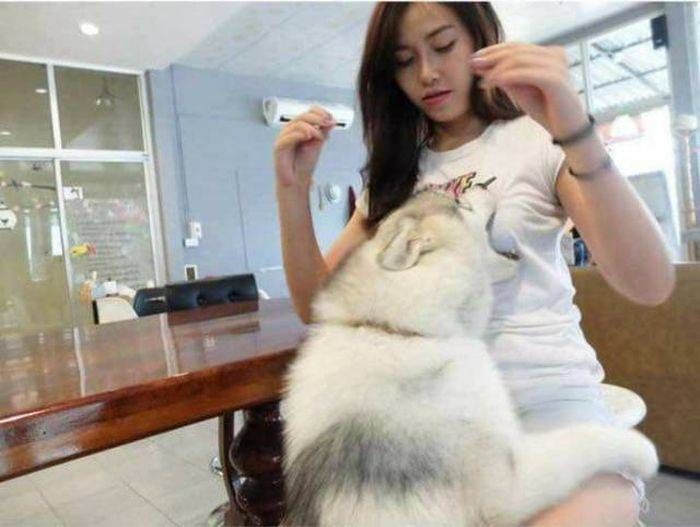 Gewoon een verzameling hilarische foto’s #797