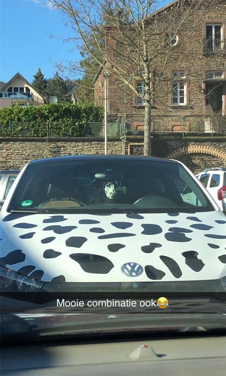 Gewoon een verzameling hilarische foto's #1104