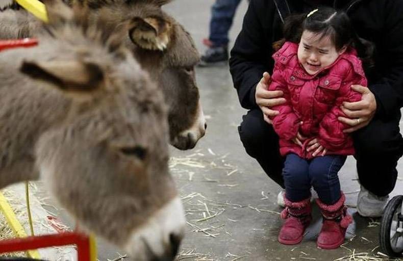 Gewoon een verzameling hilarische foto's #970