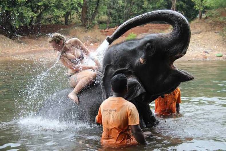 Gewoon een verzameling hilarische foto's #925