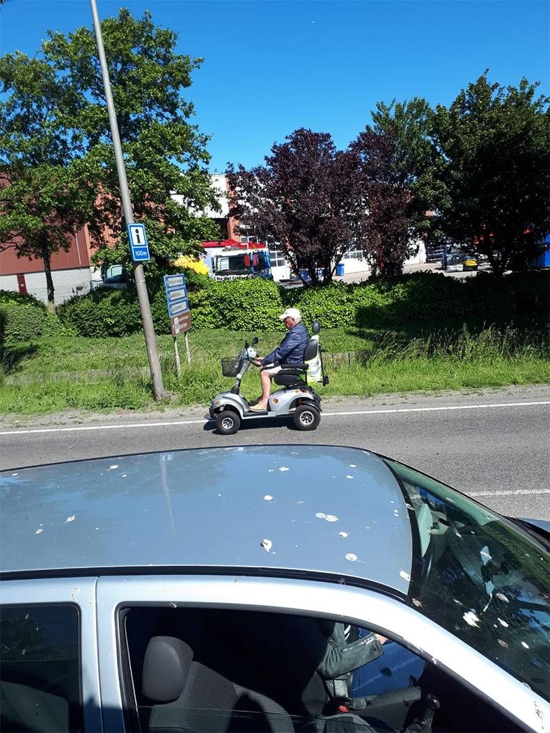 Gewoon een verzameling hilarische foto's #1131