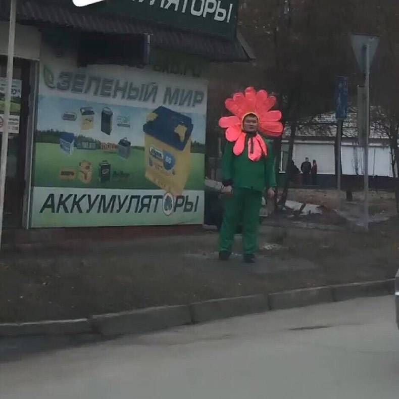 Gewoon een verzameling hilarische foto's #1098