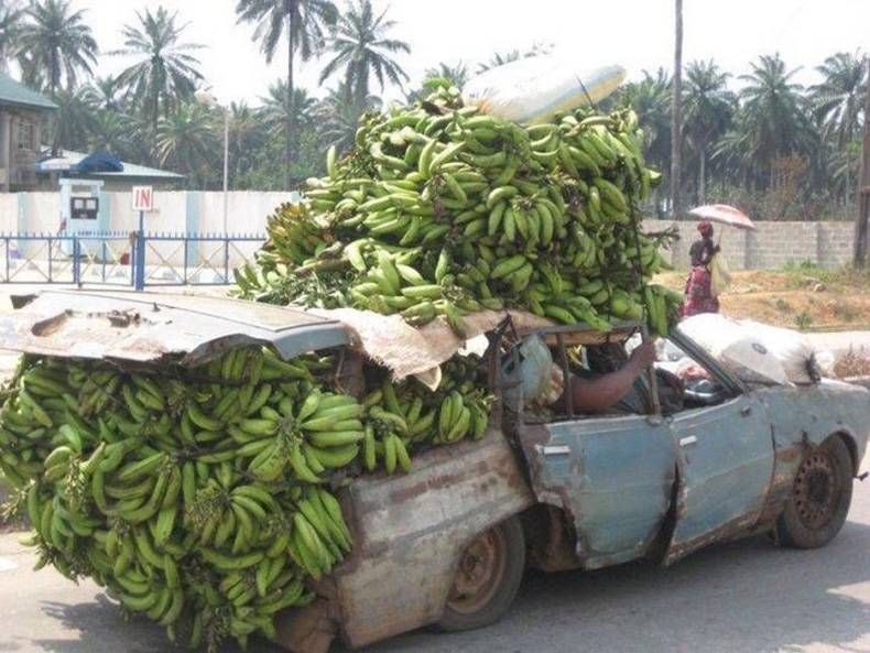 Gewoon een verzameling hilarische foto's #703