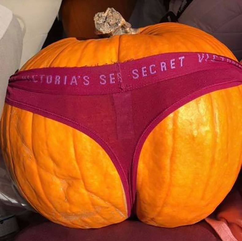 Gewoon een verzameling hilarische foto's #1039