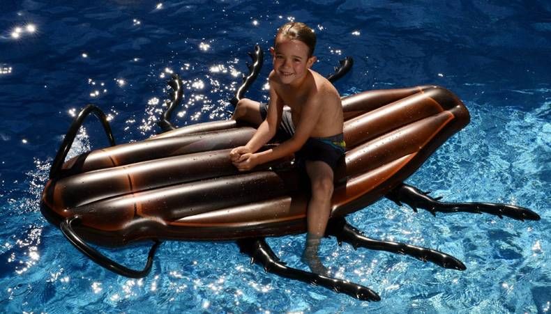 Gewoon een verzameling hilarische foto's #713