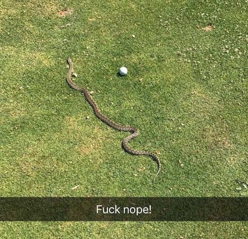 Gewoon een verzameling hilarische foto’s #843