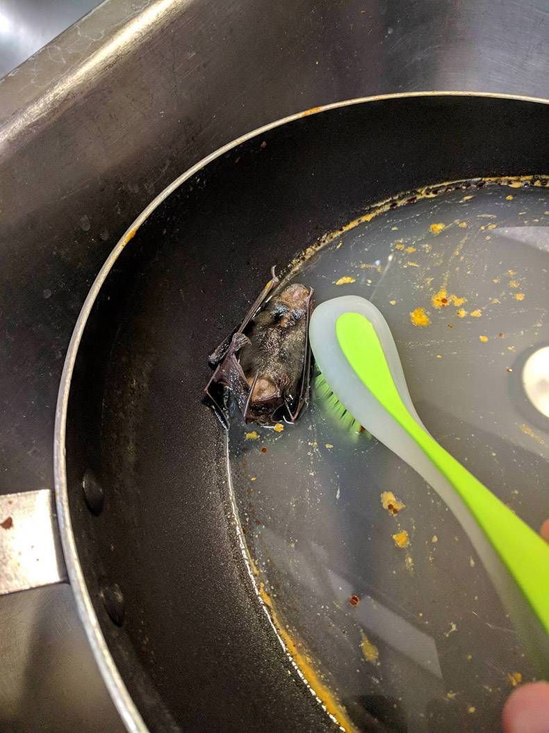 Gewoon een verzameling hilarische foto's #1019