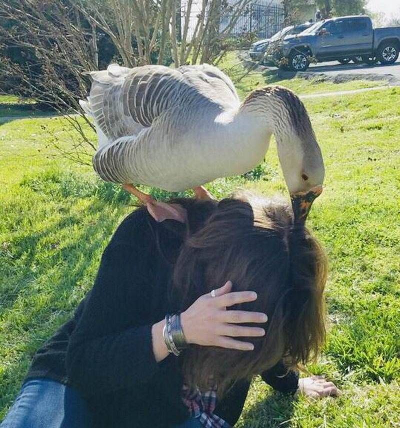 Gewoon een verzameling hilarische foto’s #1110