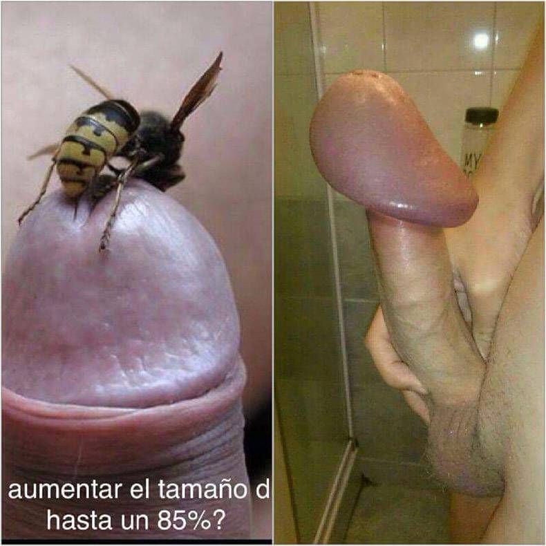 Gewoon een verzameling hilarische foto's #760