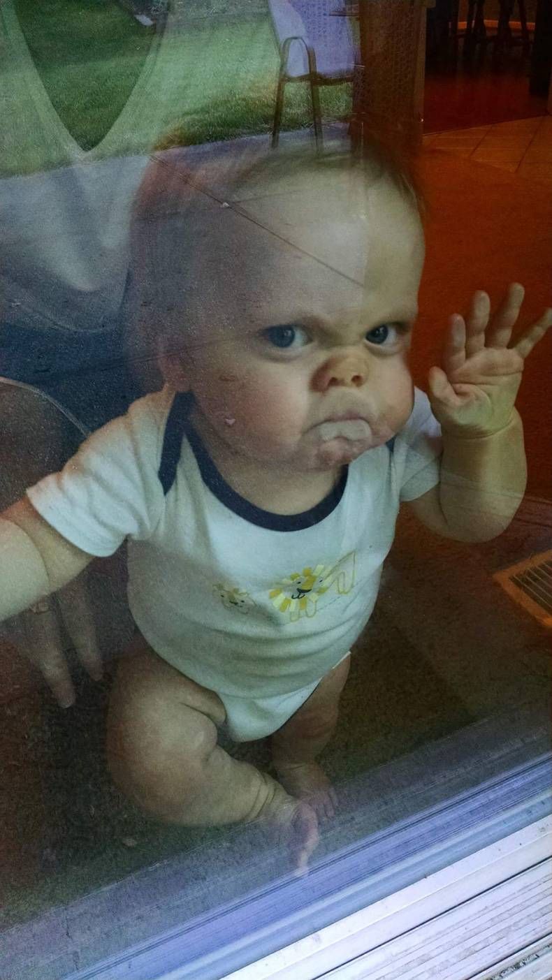 Gewoon een verzameling hilarische foto's #713