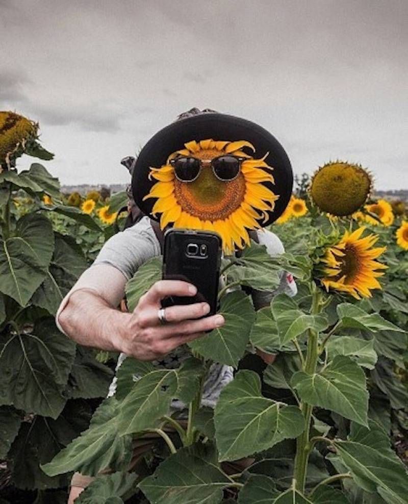 Gewoon een verzameling hilarische foto’s #846