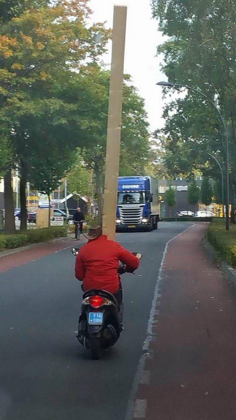 Gewoon een verzameling hilarische foto's #1006