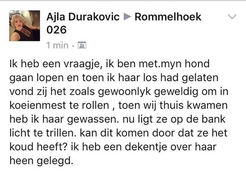 Gewoon een verzameling hilarische foto's #760