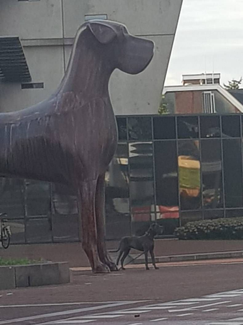 Gewoon een verzameling hilarische foto's #1169