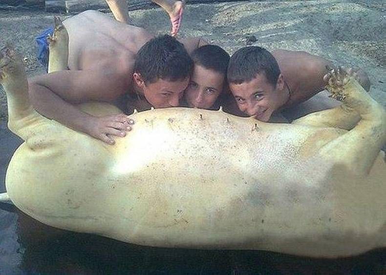 Gewoon een verzameling hilarische foto's #722