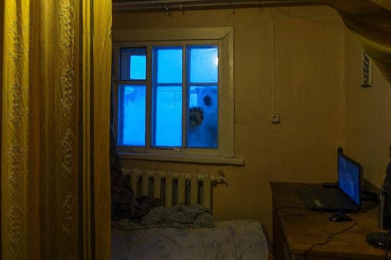 Gewoon een verzameling hilarische foto's #728