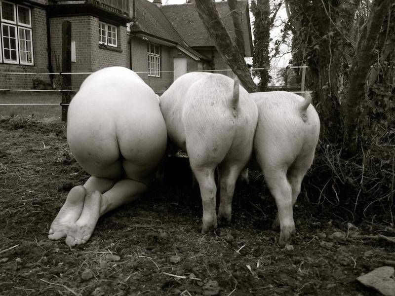 Gewoon een verzameling hilarische foto’s #1112