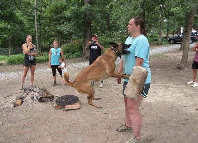 Gewoon een verzameling hilarische foto's #1169