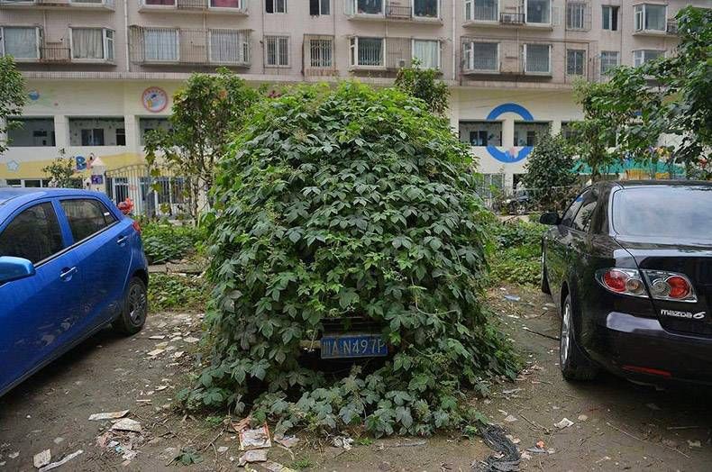 Gewoon een verzameling hilarische foto’s #847