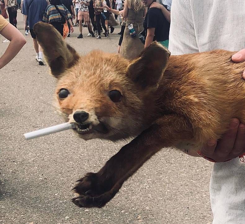 Gewoon een verzameling hilarische foto's #1169