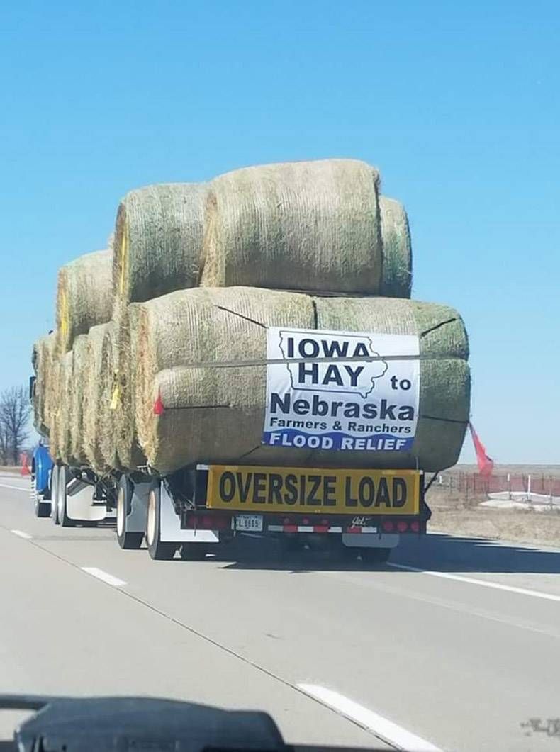 Gewoon een verzameling hilarische foto's #1104