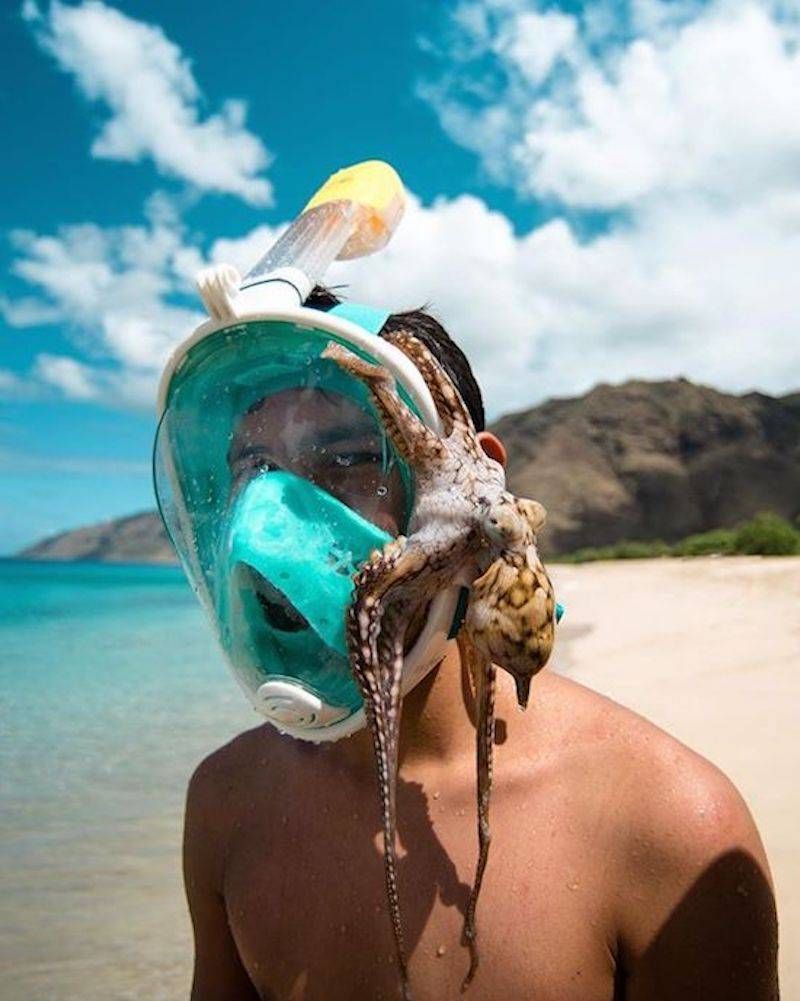 Gewoon een verzameling hilarische foto’s #873