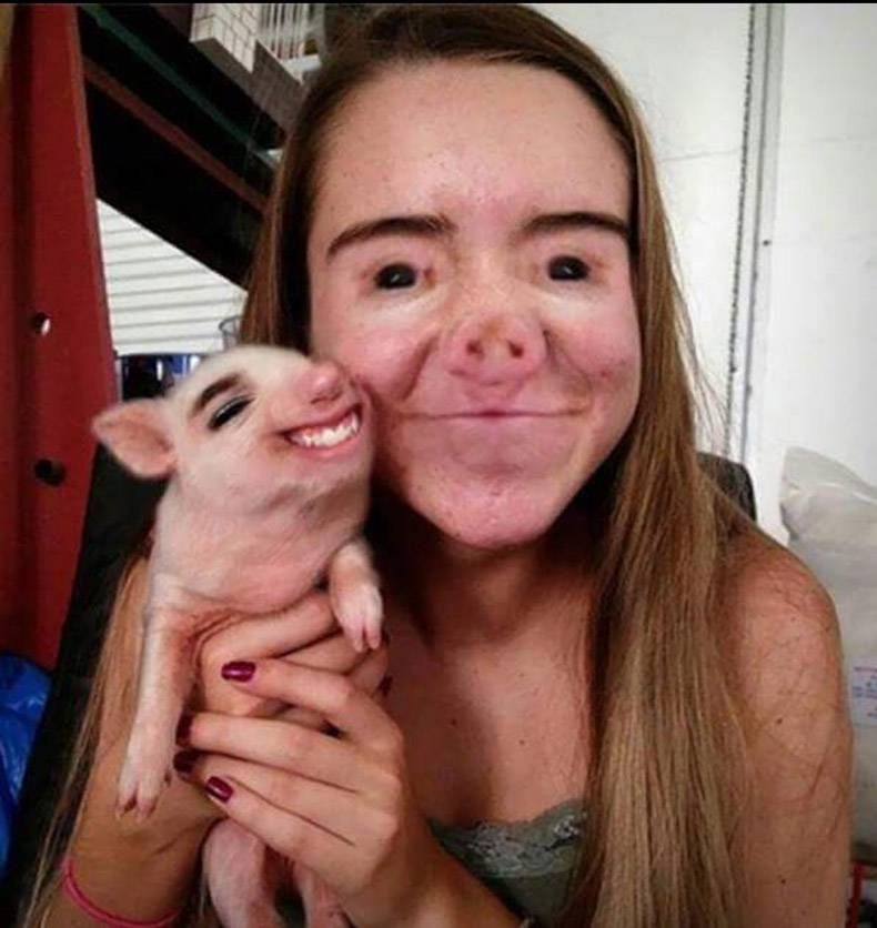 Gewoon een verzameling hilarische foto's #970