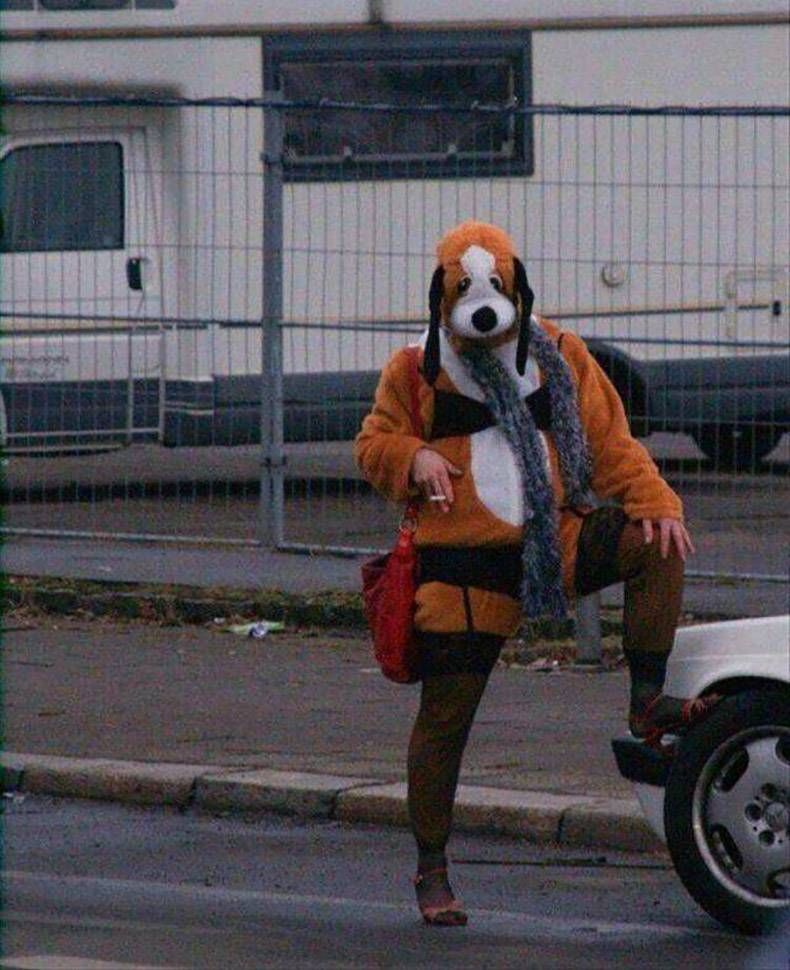 Gewoon een verzameling hilarische foto's #979
