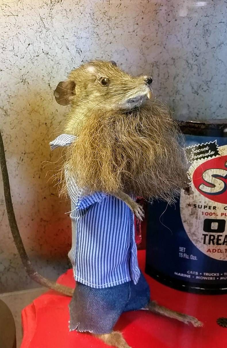 Gewoon een verzameling hilarische foto's #973