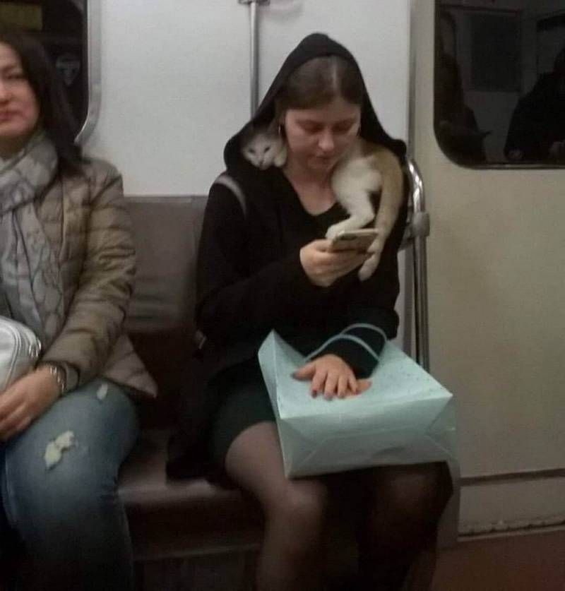 Gewoon een verzameling hilarische foto’s #1109