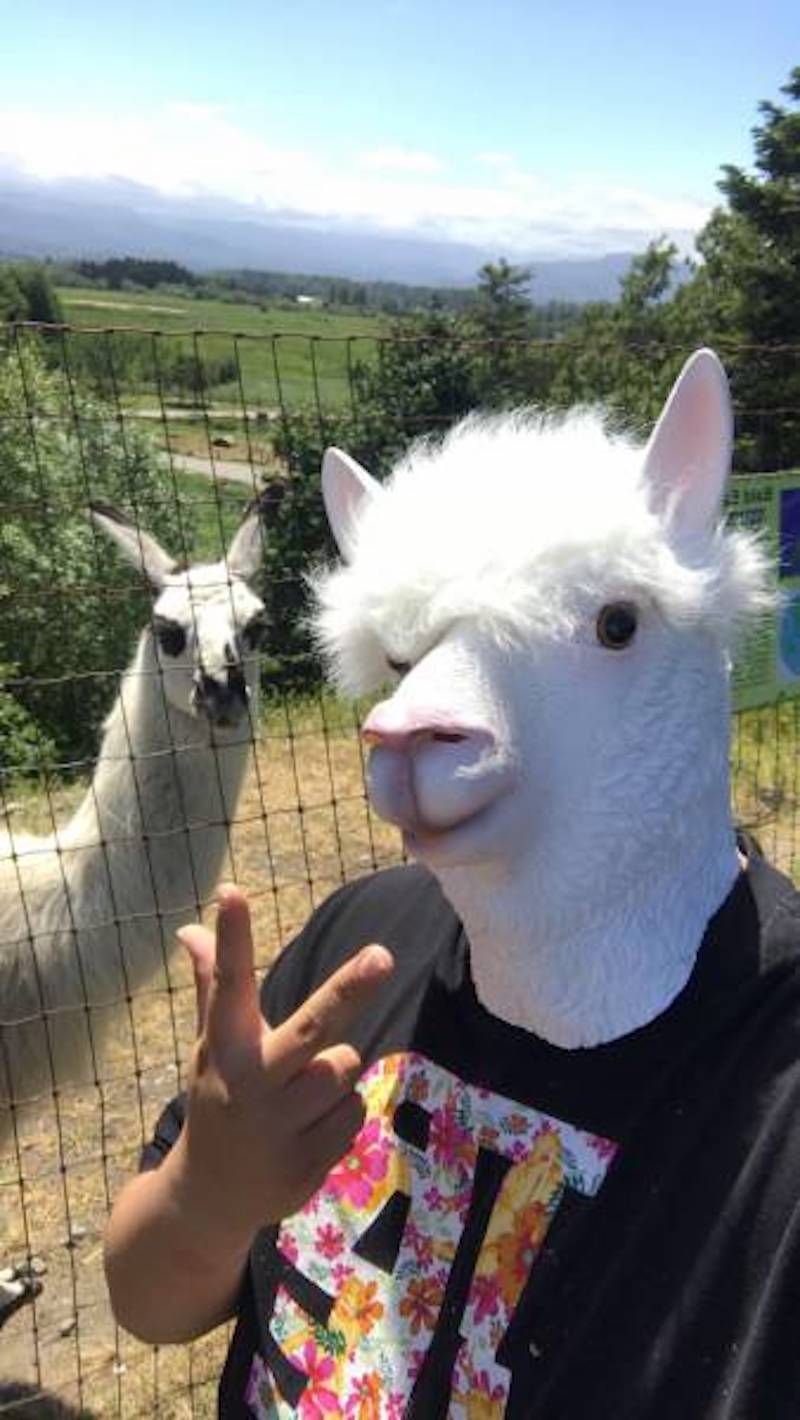 Gewoon een verzameling hilarische foto’s #846