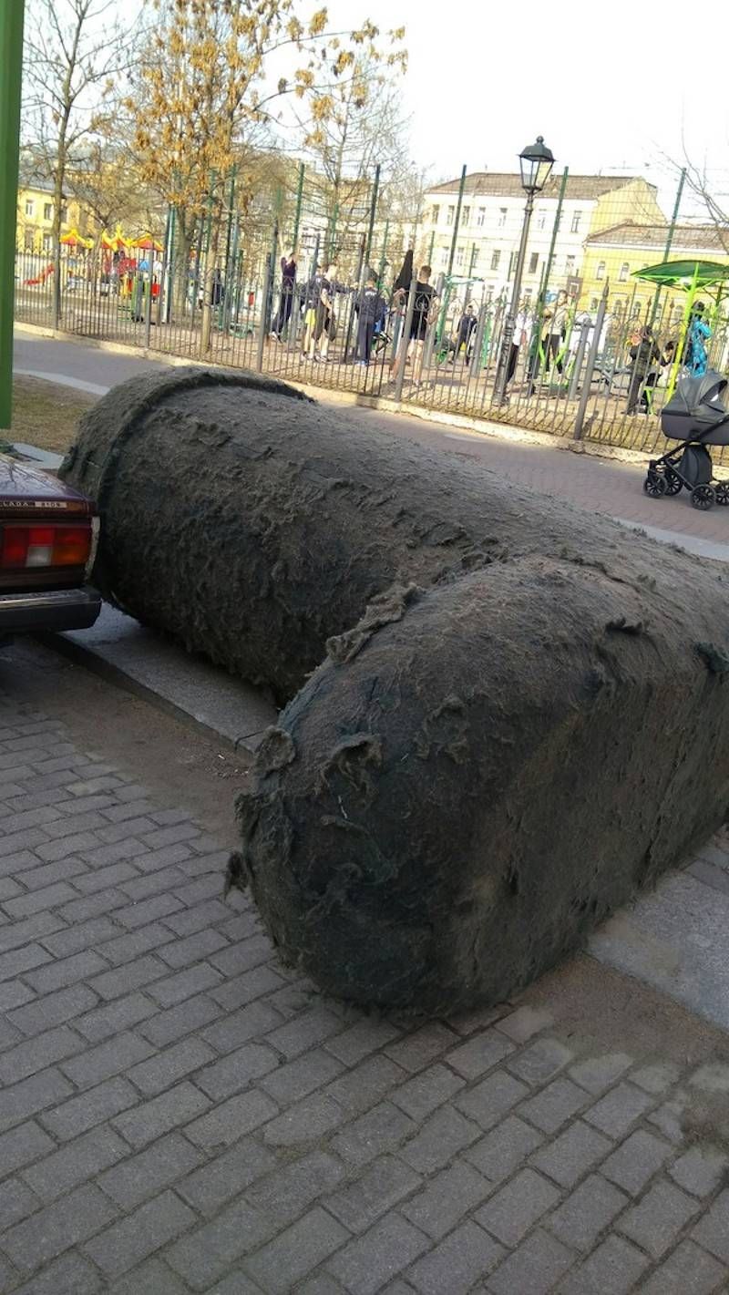 Gewoon een verzameling hilarische foto’s #800