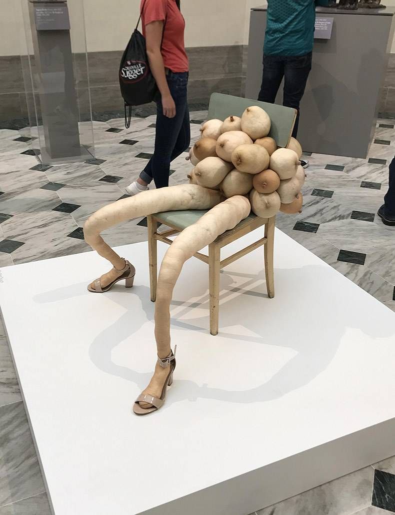 Gewoon een verzameling hilarische foto's #850