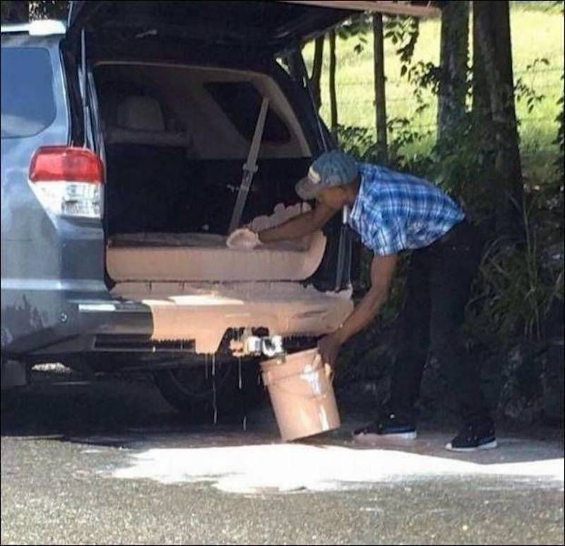 Gewoon een verzameling hilarische foto’s #873